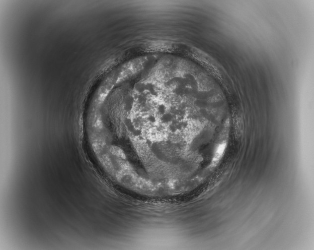 X0000096450729200802141511