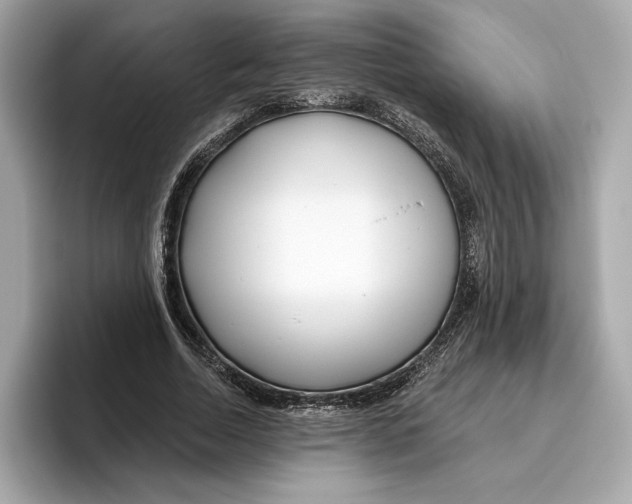 X0000096450730200802141511