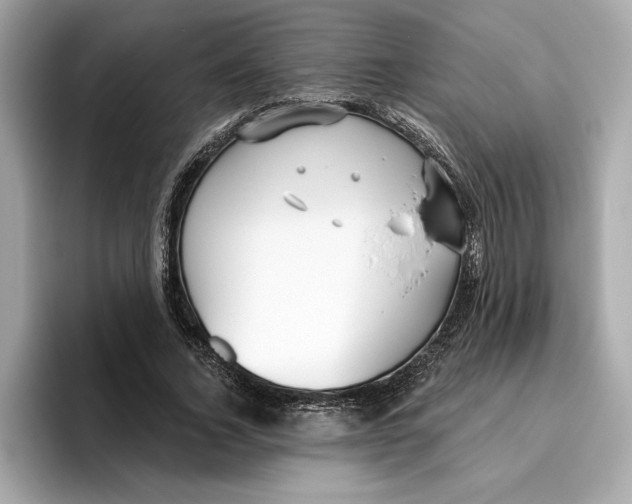 X0000096450732200802141511