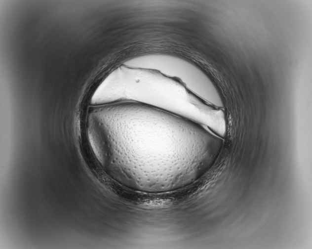 X0000096450734200802141512