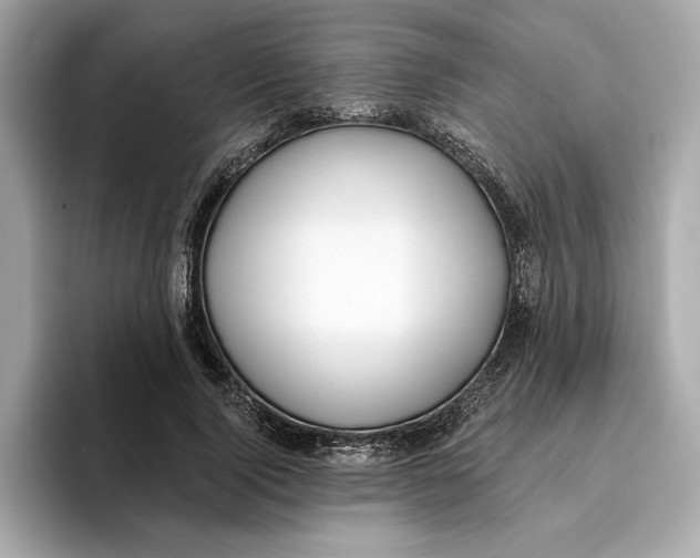 X0000096450740200802141512