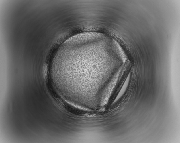 X0000096450742200802141512