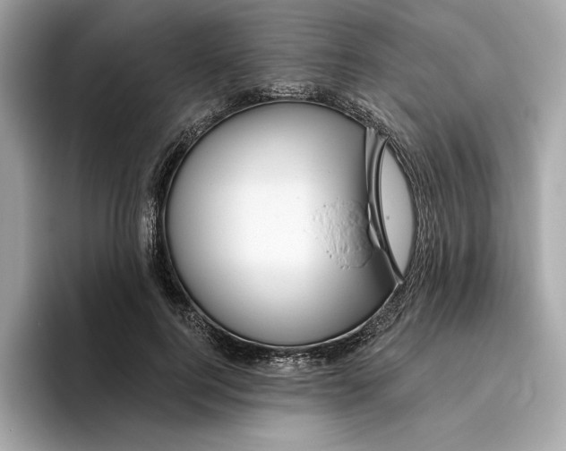 X0000096450744200802141512