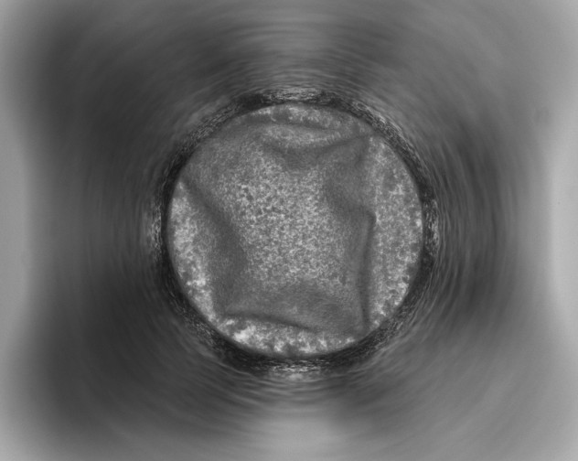 X0000096450745200802141512