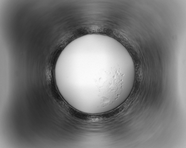 X0000096450746200802141512