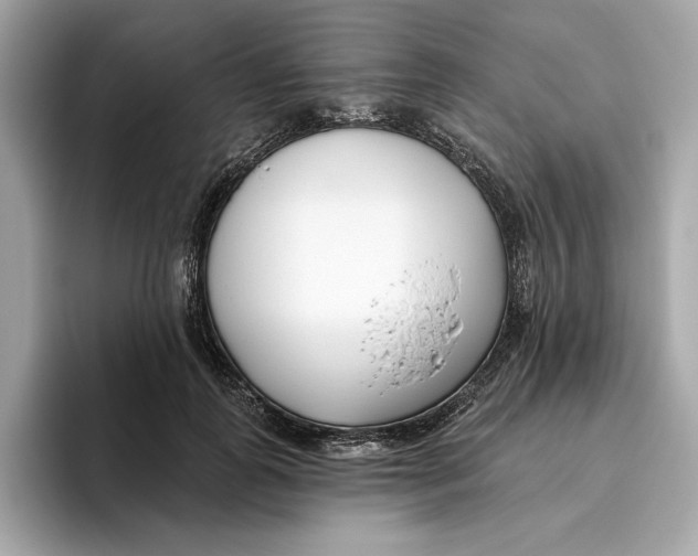 X0000096450747200802141512