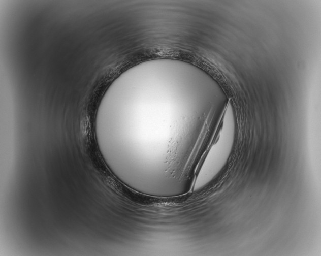 X0000096450748200802141512