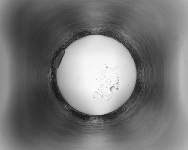 X0000096450750200802141512