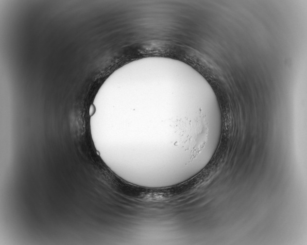 X0000096450751200802141512