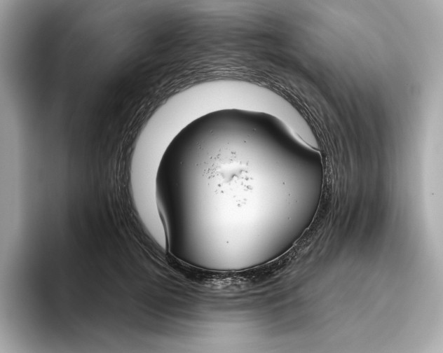 X0000096450752200802141512