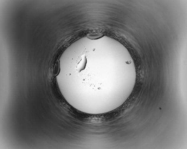 X0000096450756200802141512