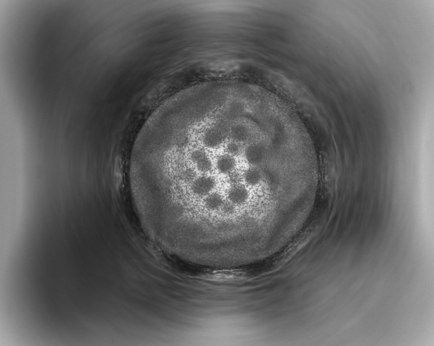 X0000096450758200802141512