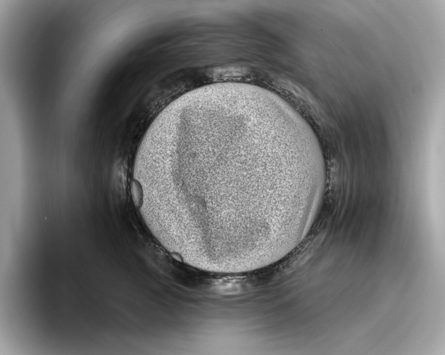 X0000096450761200802141512