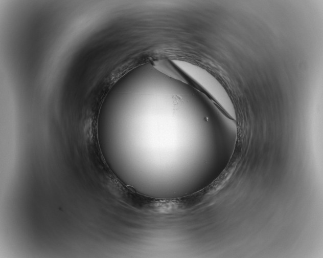 X0000096450762200802141512