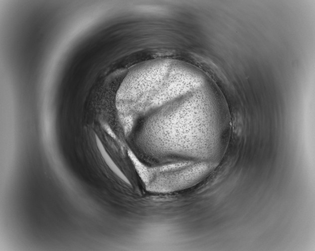 X0000096450763200802141512