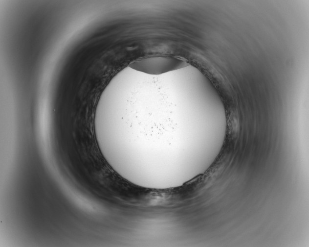 X0000096450764200802141512