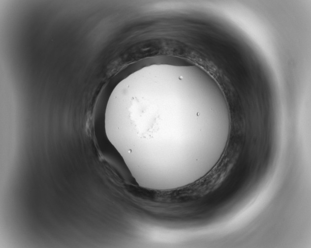 X0000096450766200802141512