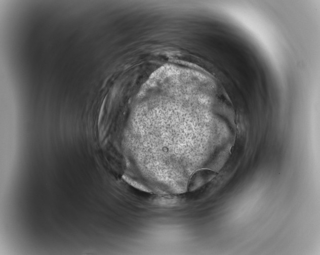 X0000096450767200802141512