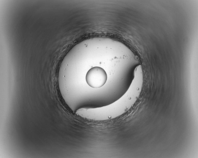 X0000096450769200802141511