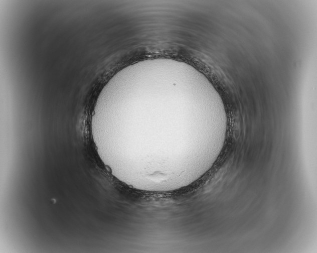 X0000096450770200802141511