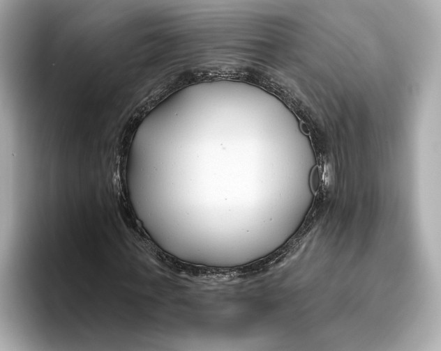 X0000096450771200802141511