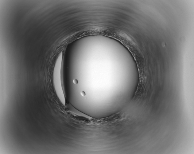 X0000096450773200802141511