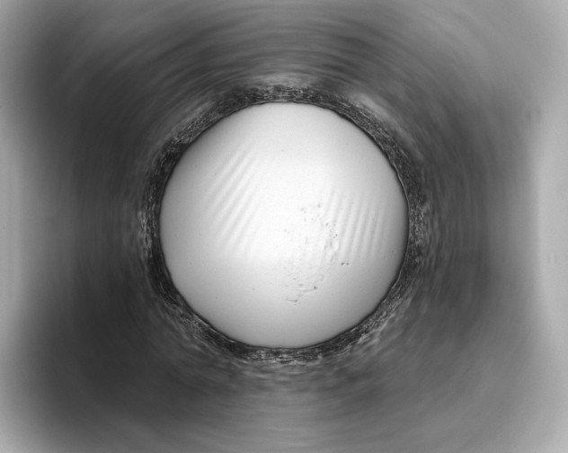 X0000096450774200802141511