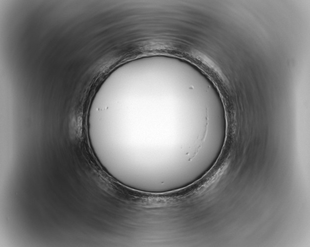 X0000096450777200802141511