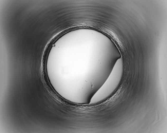 X0000096450780200802141511