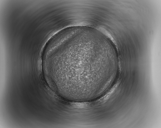 X0000096450781200802141511