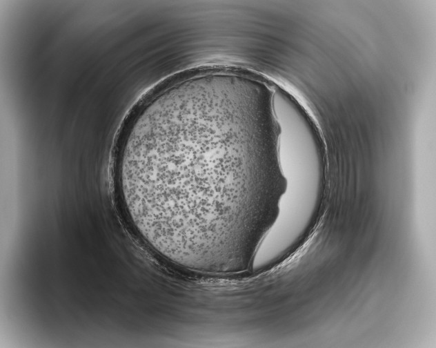 X0000096450783200802141511