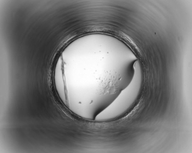 X0000096450786200802141511