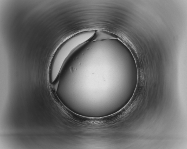 X0000096450789200802141511