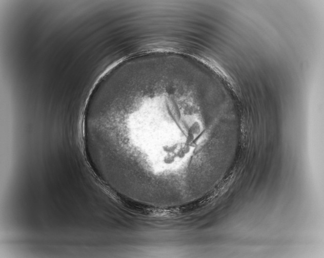 X0000096450790200802141511