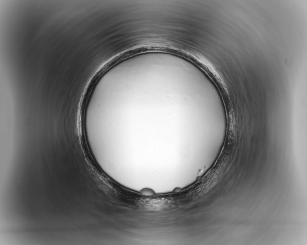 X0000096450791200802141511