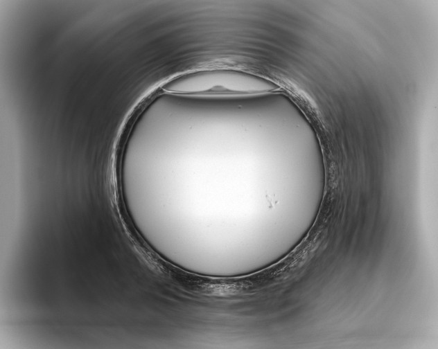 X0000096450792200802141511