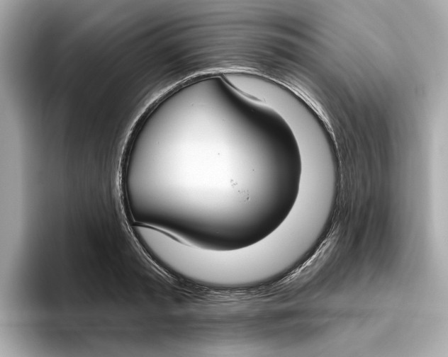 X0000096450797200802141511