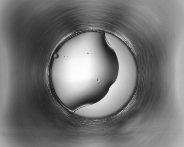 X0000096450798200802141511