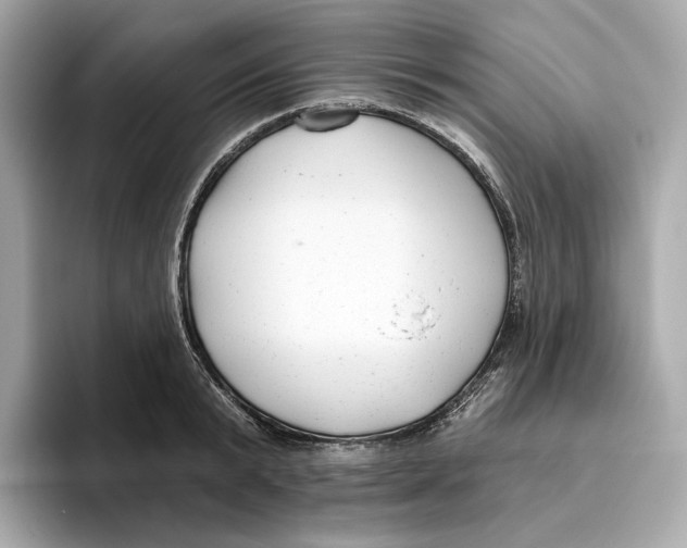 X0000096450799200802141511