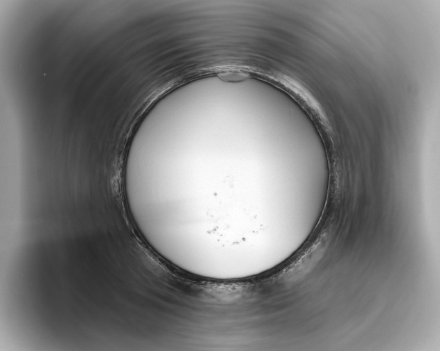 X0000096450801200802141511