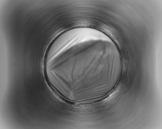 X0000096450802200802141511