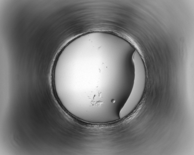 X0000096450803200802141511