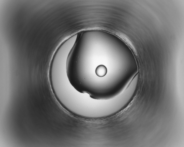 X0000096450805200802141511