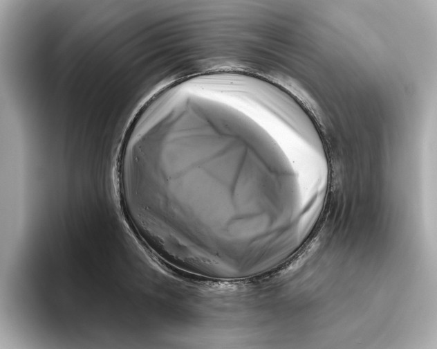 X0000096450806200802141511