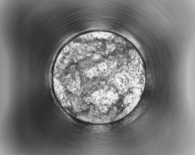 X0000096450807200802141511