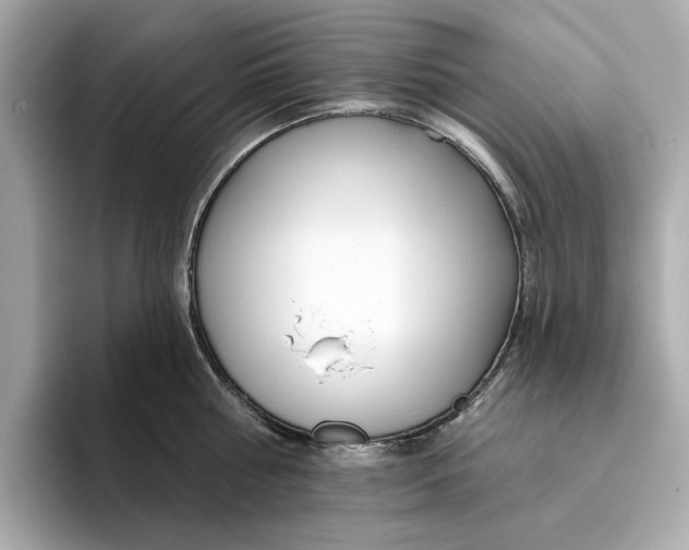 X0000096450810200802141511