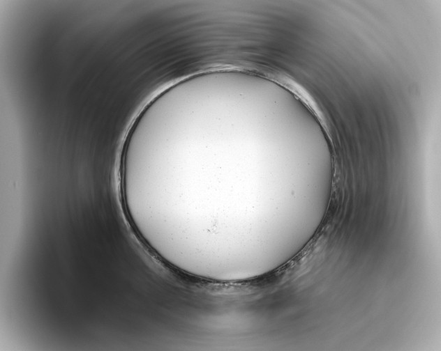 X0000096450811200802141511