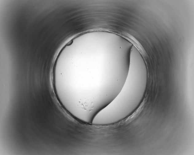 X0000096450812200802141511