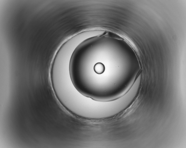 X0000096450813200802141511