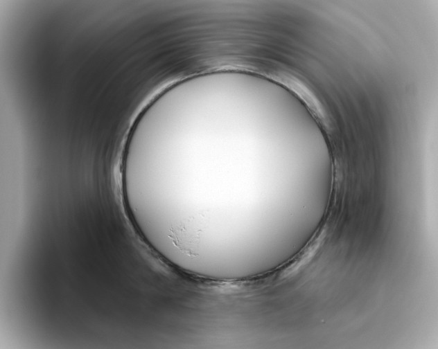 X0000096450814200802141511